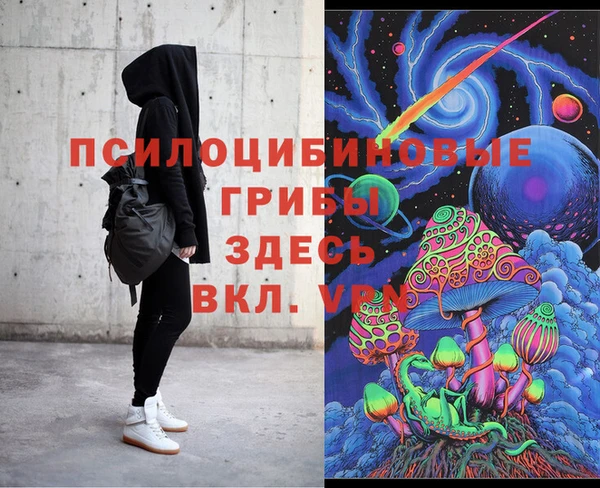 крисы Горнозаводск